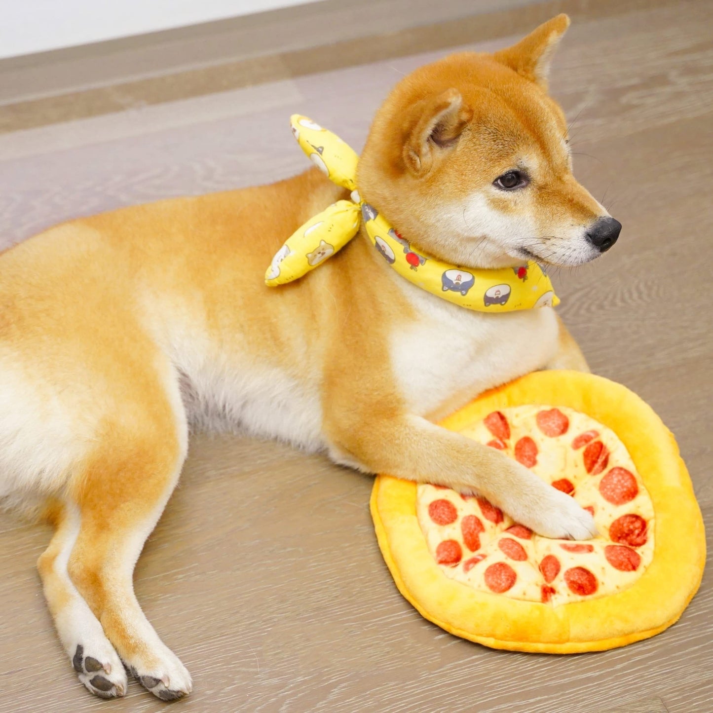 Pizza Dog Toy – Durable Chew & Play Fun for Happy Pups 🍕🐶